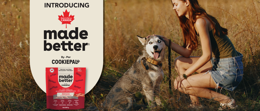 Meet our new brand: made better™