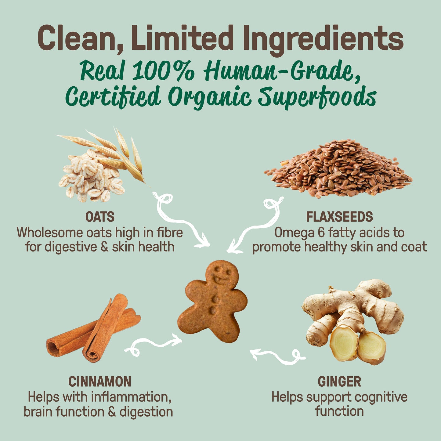 Gingerbread Biscuits