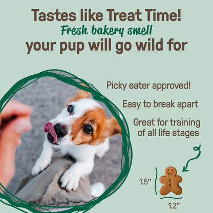 Gingerbread Biscuits