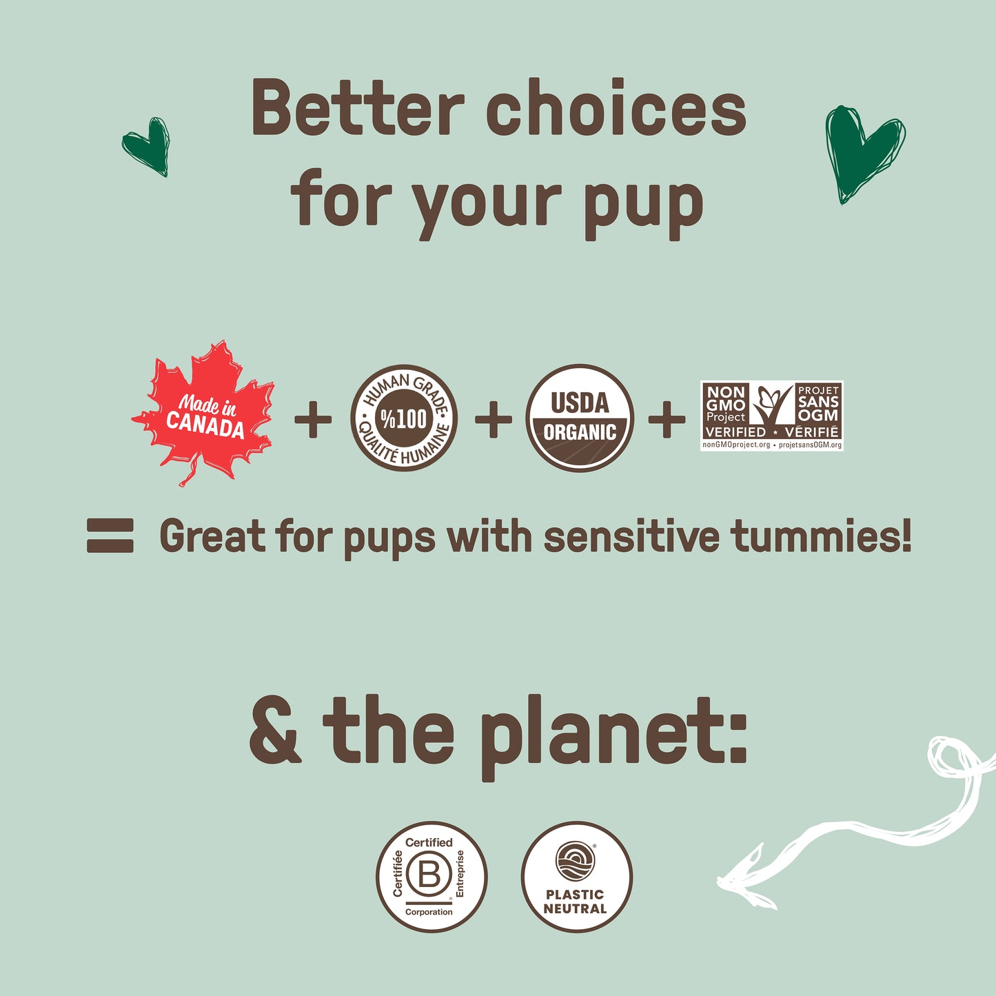 Gingerbread Biscuits