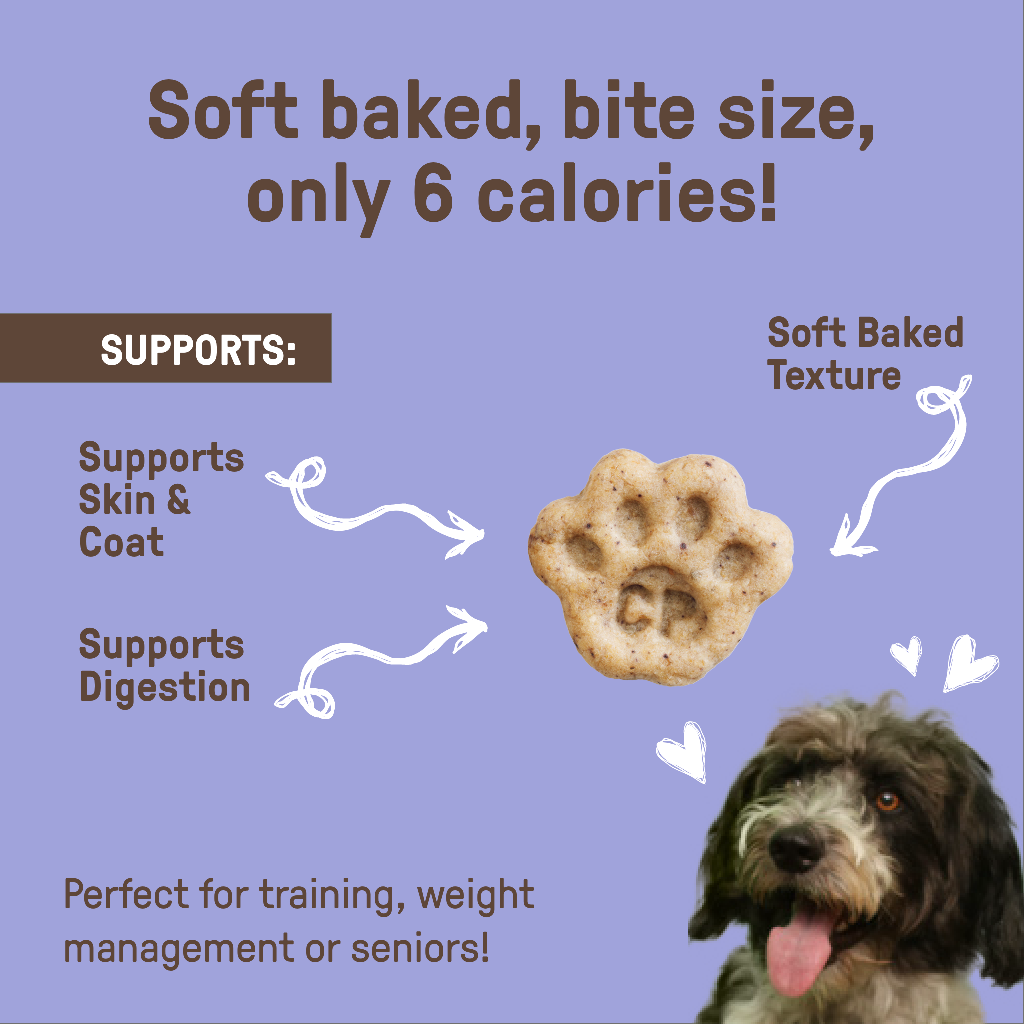 Blueberry Pumpkin Soft Baked Bites COOKIE PAL blueberry-pumpkin-soft-baked-bites-cookie-pal