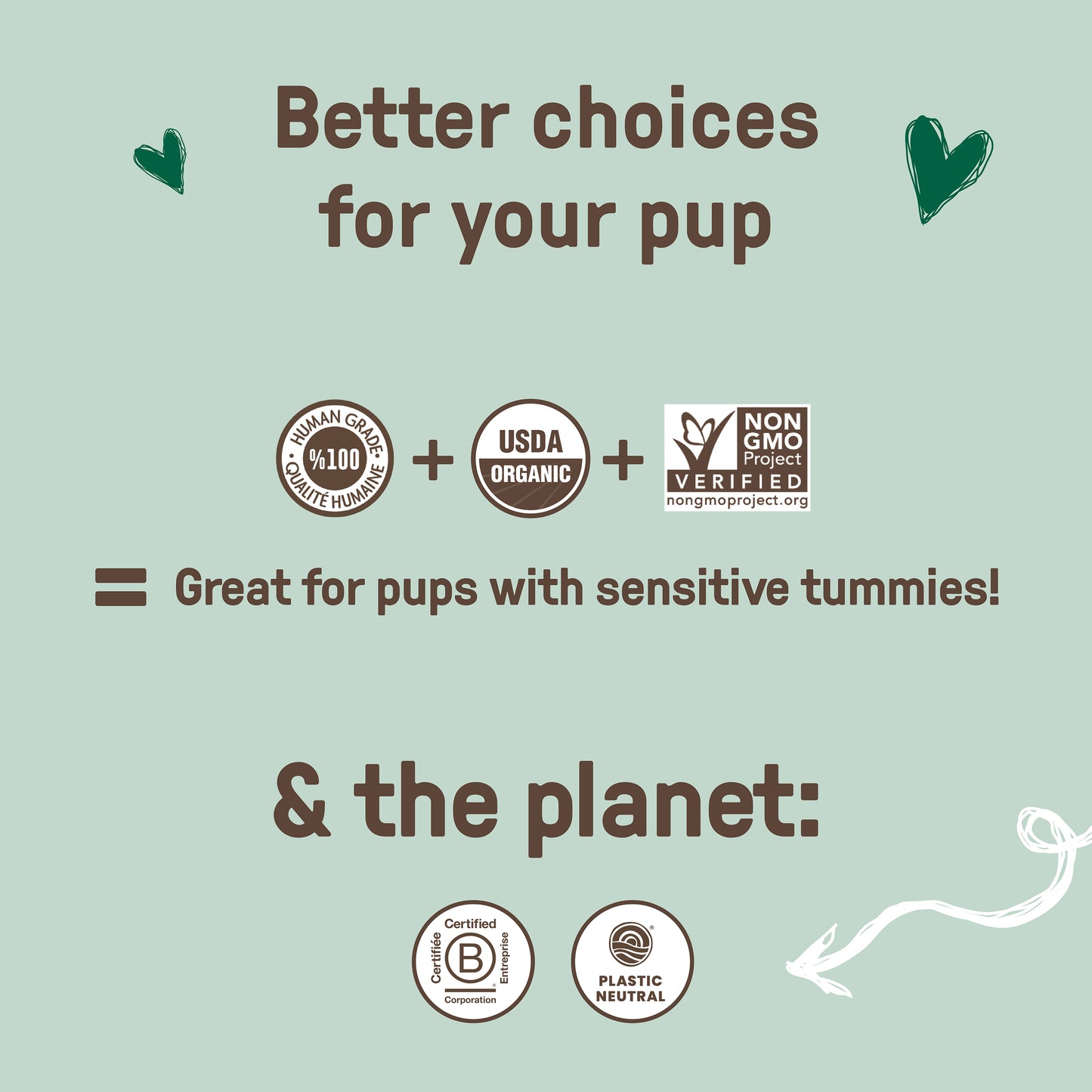 Gingerbread Biscuits