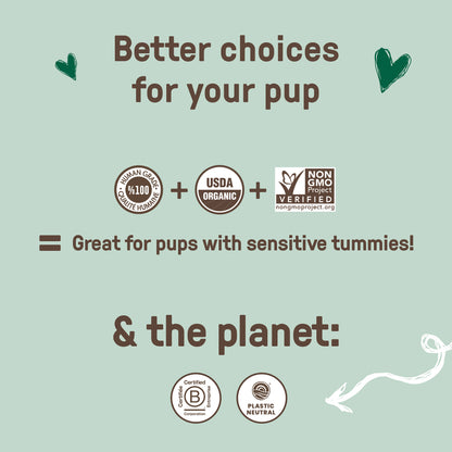 Gingerbread Biscuits