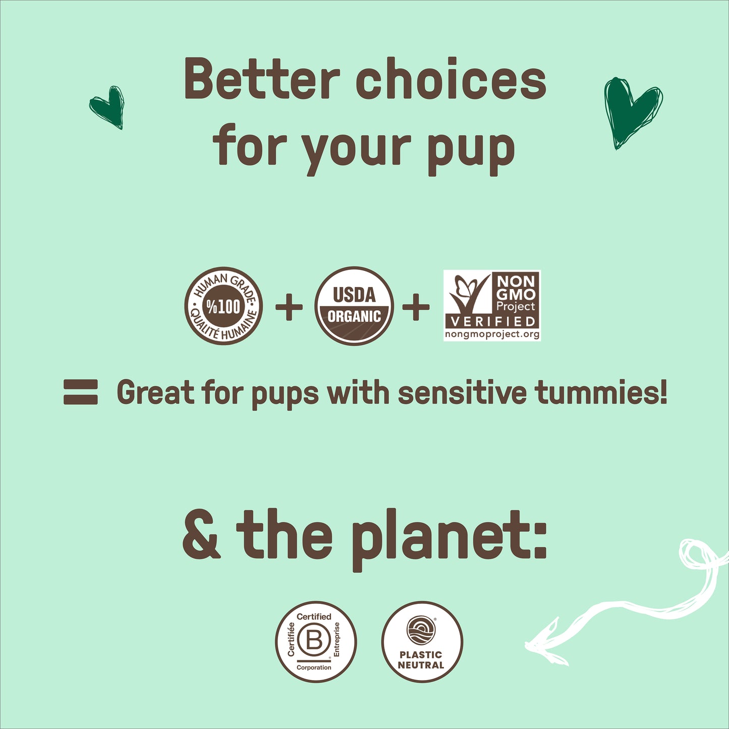 Gingerbread Soft Baked Bites