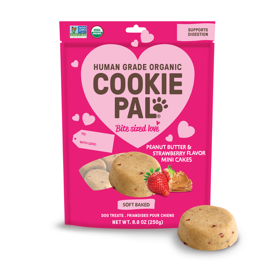 Mini Cakes Soft Baked