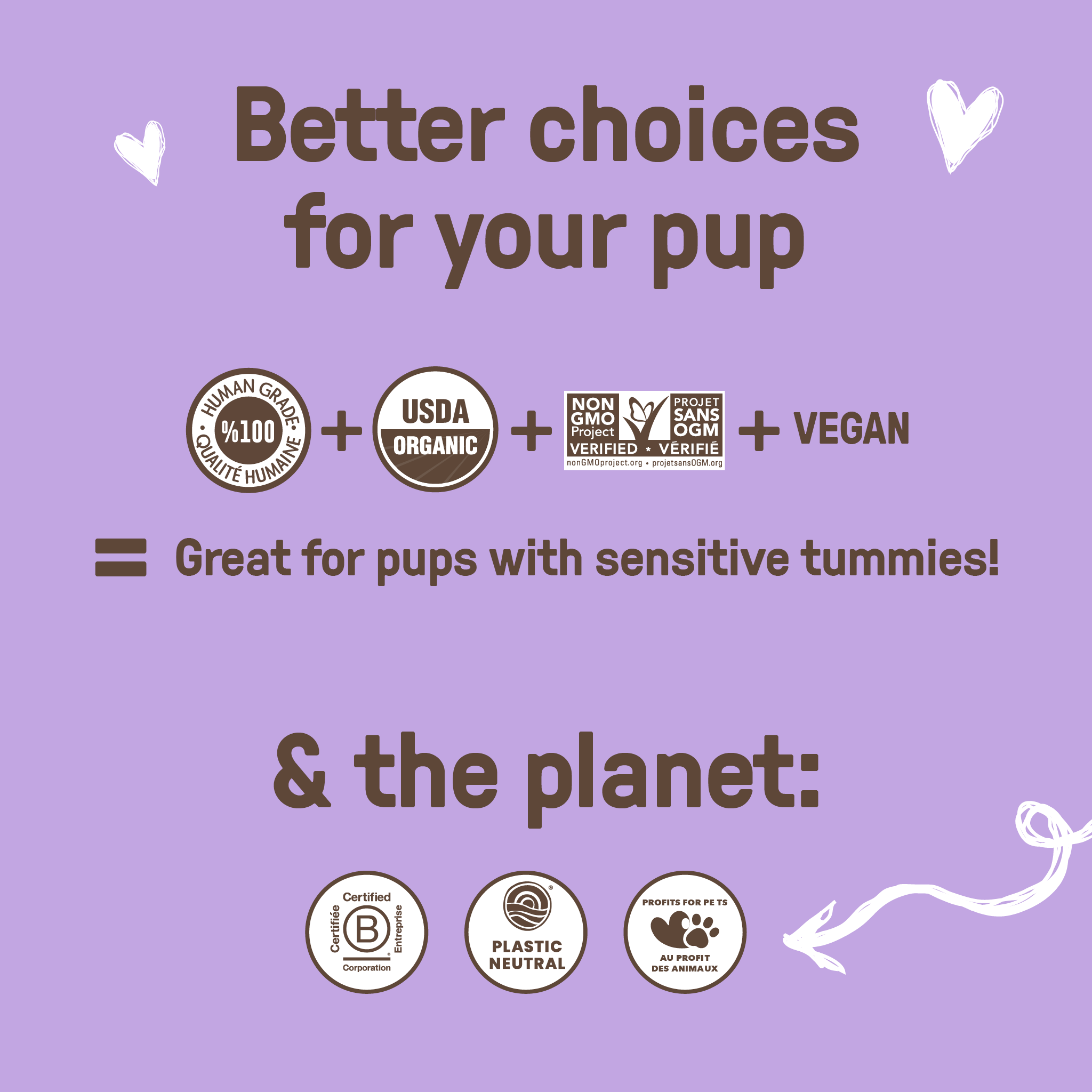 Peanut Butter Biscuits COOKIE PAL